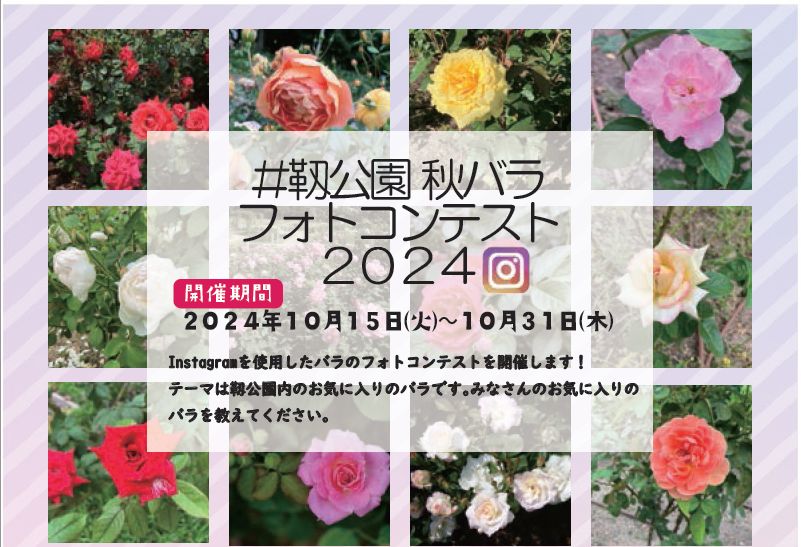 靱公園秋バラフォトコンテスト２０２４